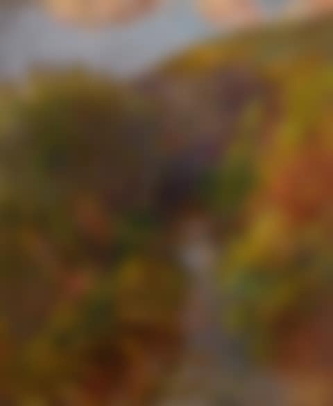 RIVER LANDSCAPE (preview)