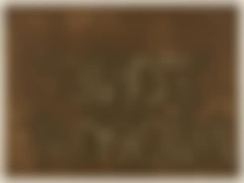 Tone Mirror, from Mirrors of the Mind (preview)