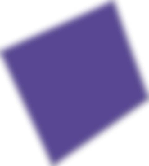 PURPLE PANEL (preview)