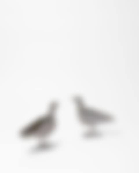 PAIRE DE BOUGEOIRS 'OISEAU D'ARGENT' (preview)