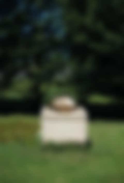 'FONTAINE PLEUREUSE' (preview)
