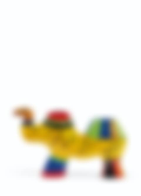 Petit chameau (preview)
