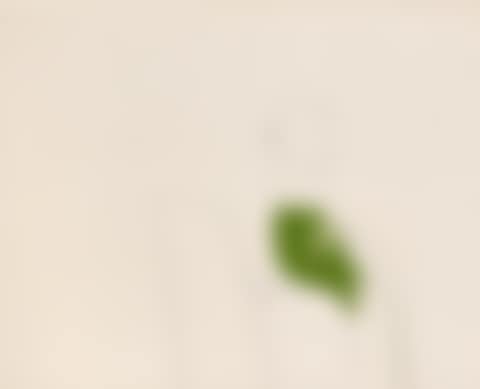 Green woman (preview)