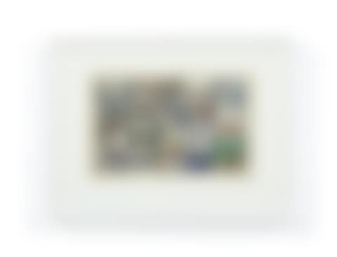 Agamographie (preview)