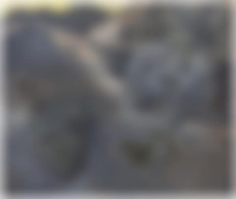 HEADSCAPE (preview)