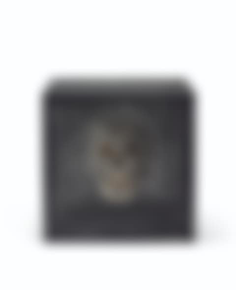 State of being (Skull) (preview)