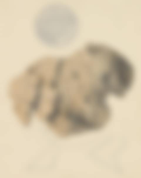 Loplop (preview)