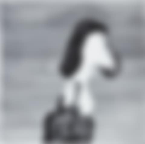 Shoplifting (preview)