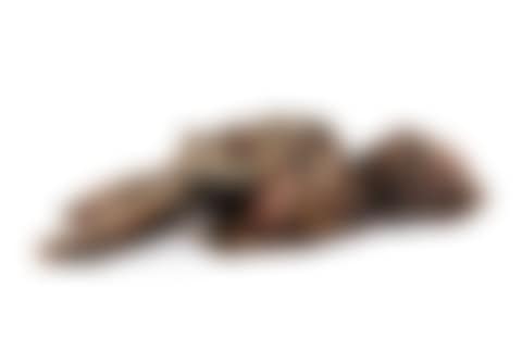 The Martyr (preview)