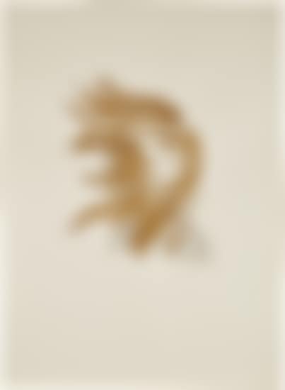 Gold Head W (preview)