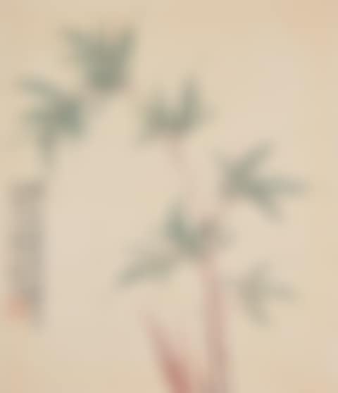Bamboo (preview)