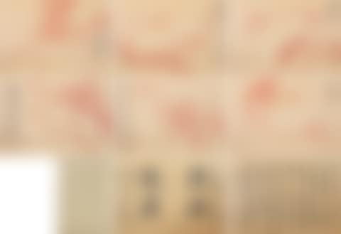 Plum Blossoms (preview)