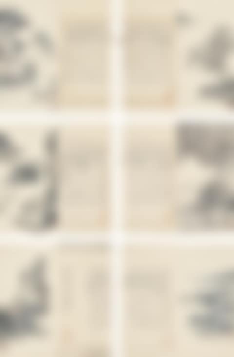 Album of Paintings and Calligraphy (preview)