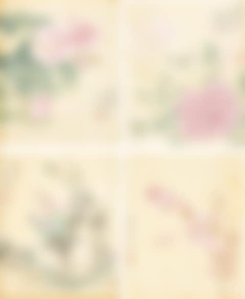 FLOWERS (preview)