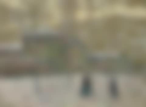 Paysage d'hiver (preview)