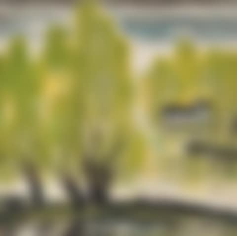 Summer Willow (preview)