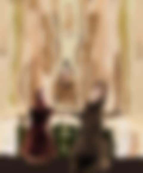 WEDDING (preview)
