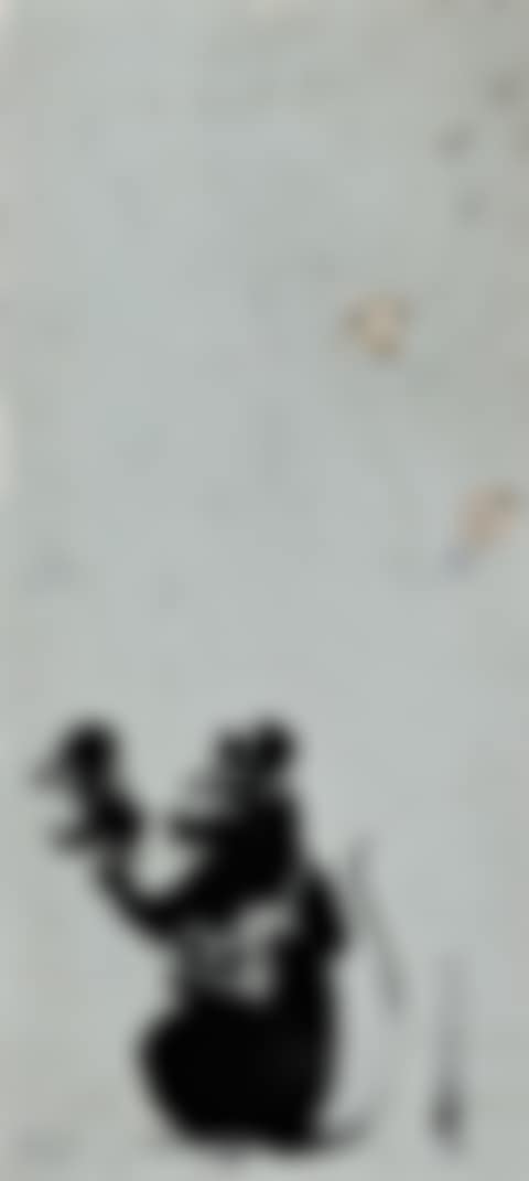 RADAR RAT (preview)