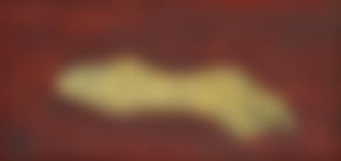 Leopard (preview)
