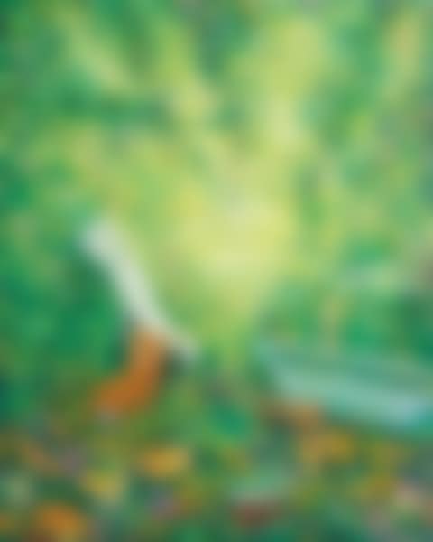 Orange Eaters (Remixed) (preview)