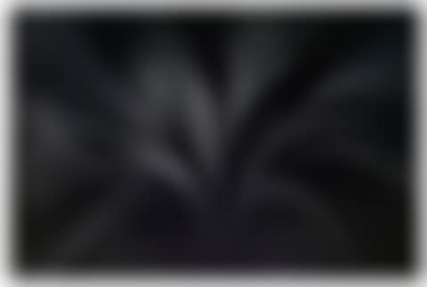 Panacea (preview)