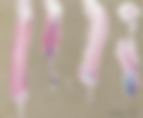 The Method of Drawing 76-1-2011 (preview)