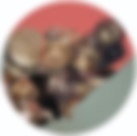 Untitled (preview)