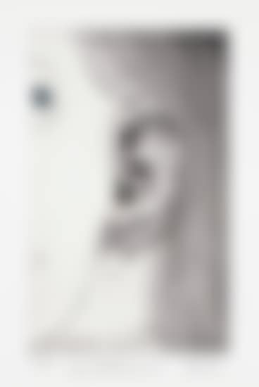 Ear (preview)