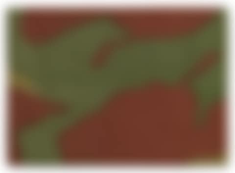 Mimetico (Camouflage) (preview)