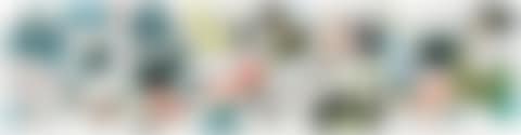 STAR QUARTERS I-IV (preview)