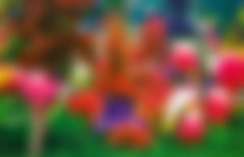 GARDEN2 (preview)