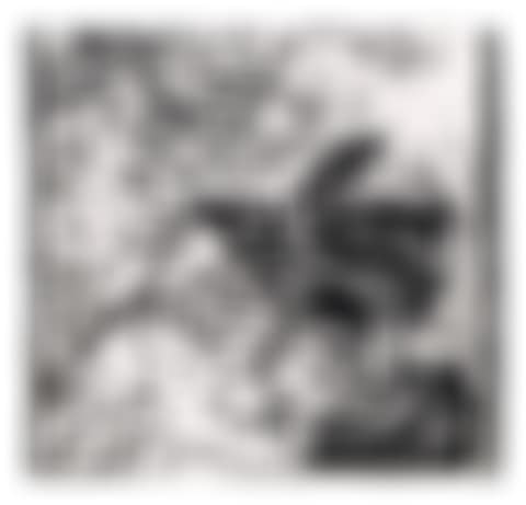 Swan Engraving Square III, from Swan Engravings (preview)