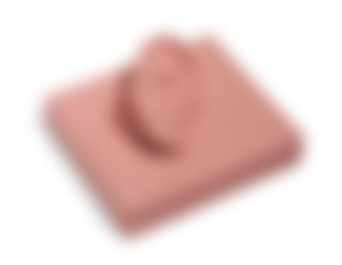 Ear (preview)