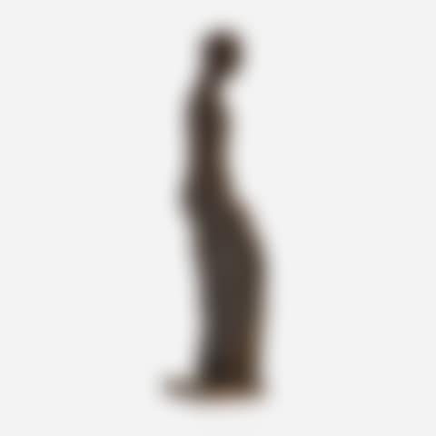 Venus de Milo découpée (preview)