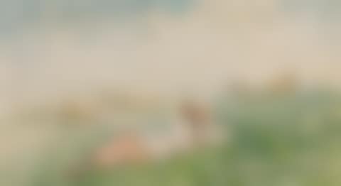 The Shepherdess (preview)