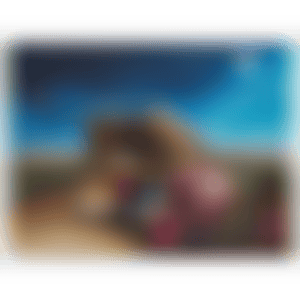 Sleeping Worrywart (preview)