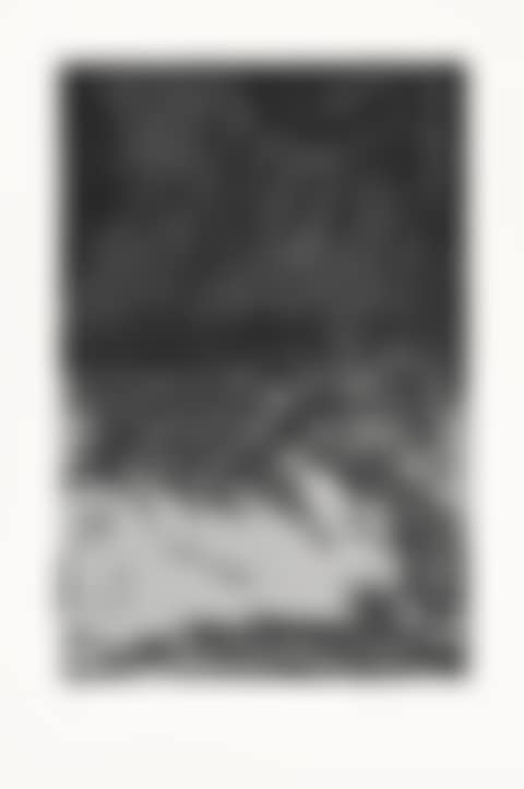Untitled Press: plate #3 (preview)