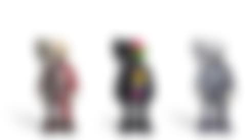 DISSECTED COMPANION (BROWN), DISSECTED COMPANION (BLACK), DISSECTED COMPANION (GREY) (preview)