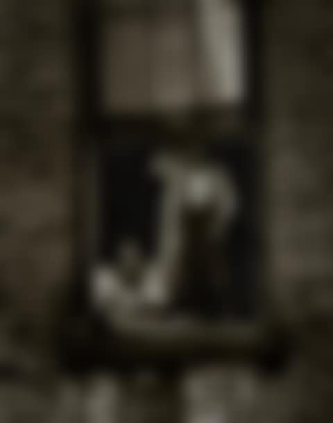 Untitled (Mother and child looking out of screened window),  from "East 100th Street" (preview)
