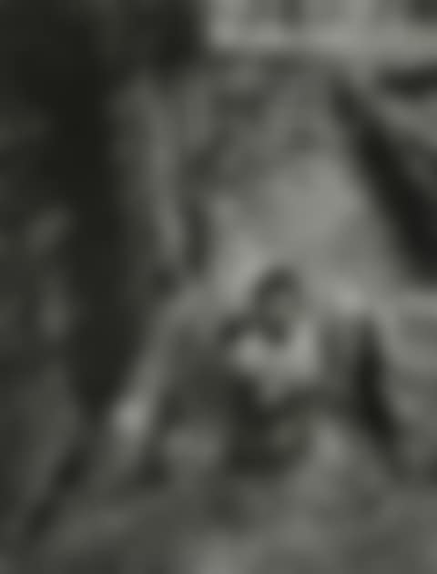 Untitled (Boy with pigeon),  from "East 100th Street" (preview)