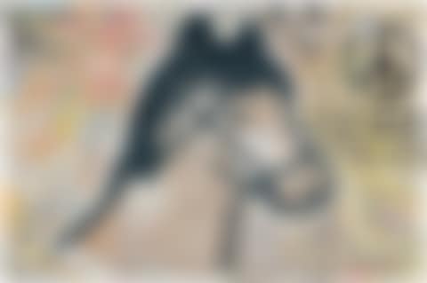 Brown Horse (preview)