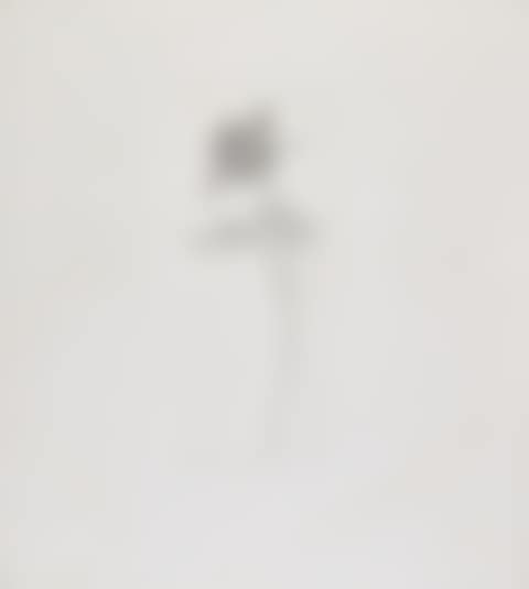 THE ROSE AND THE ROSE STALK (S.A.C. 78; MCA TOKYO 75) (preview)