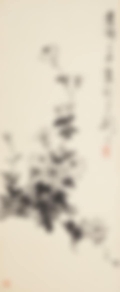 Chrysanthemum (preview)