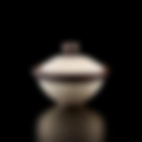 Covered bowl (preview)
