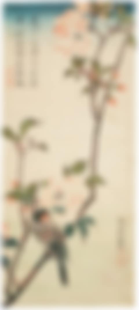 Aronia and bullfinch (preview)
