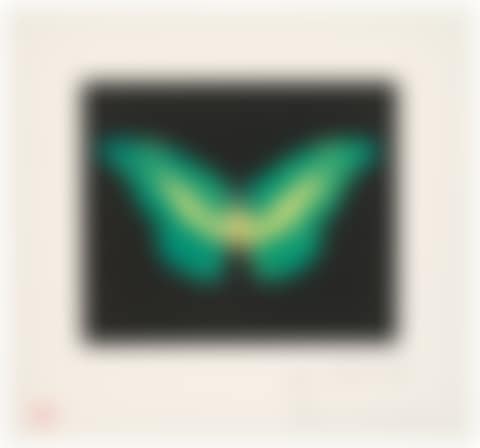 To Belie (preview)