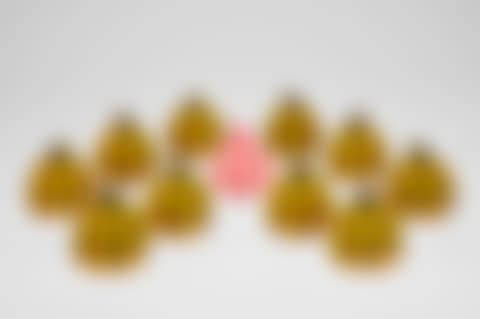Red Pumpkin; & Yellow Pumpkin (A Group of 11) (preview)