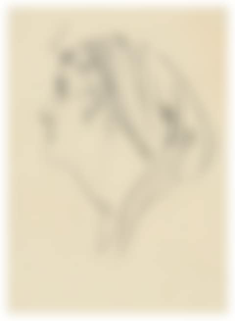 Head of a woman wearing a scarf (preview)