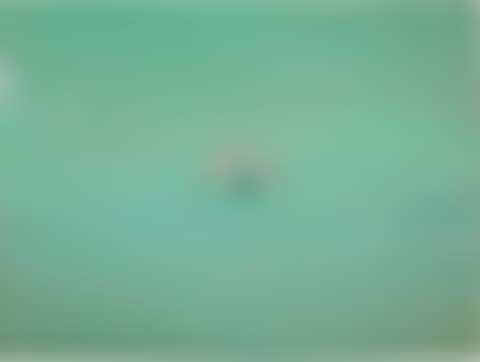 'UNTITLED (JULY 28, 2012 3:57 PM)' (preview)