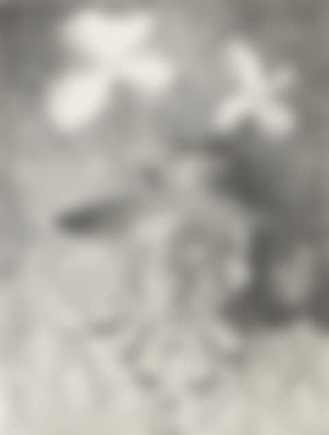 UNTITLED (preview)